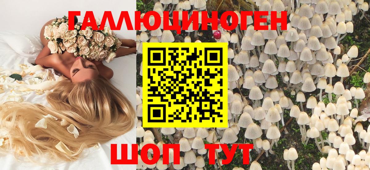 Галлюциногенные грибы Magic Shrooms Екатеринбург